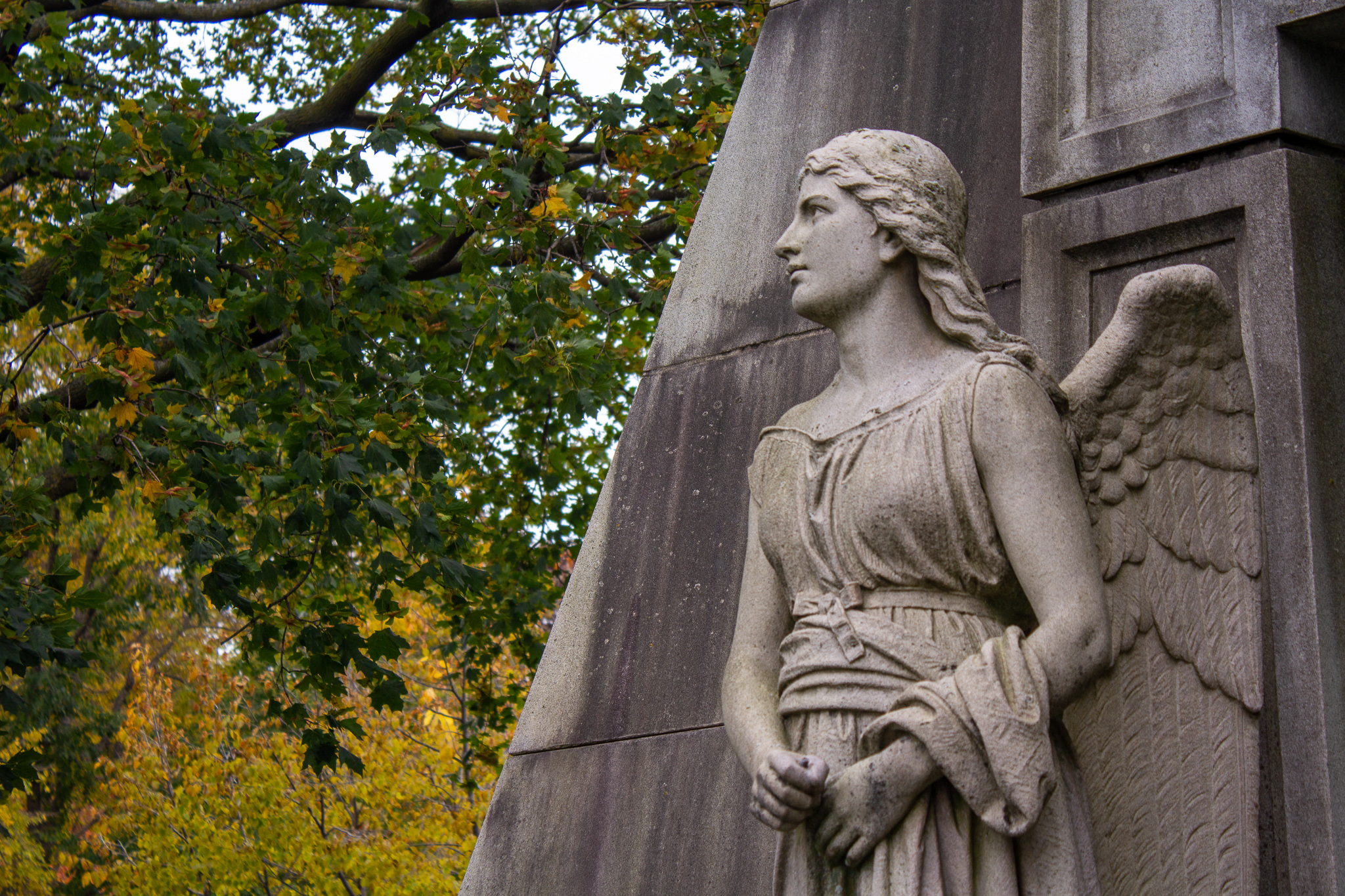 The top half of a stone angel outside of a tomb, green and yellow tree leaves behind her