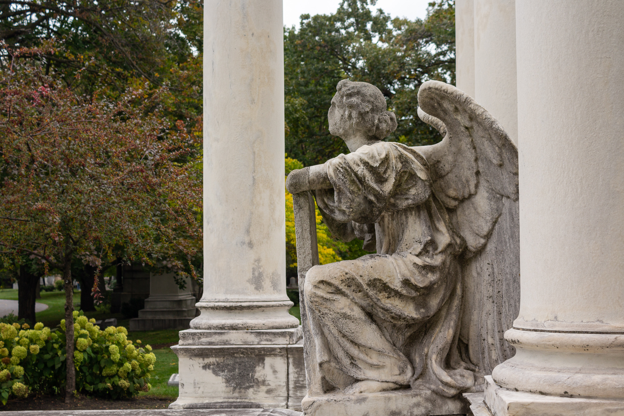 The profile of a stone angel, face weatherbeaten smooth, in between the white pillars of a gravesite