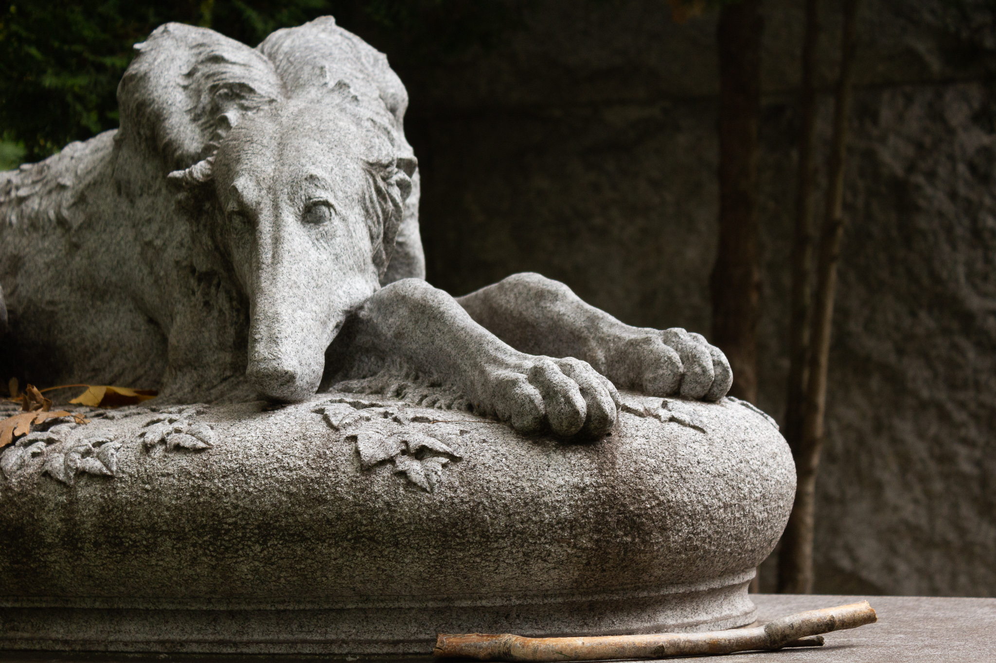 A stone wolfhound sculpted on top of a tombstone, a real stick laid in front of it