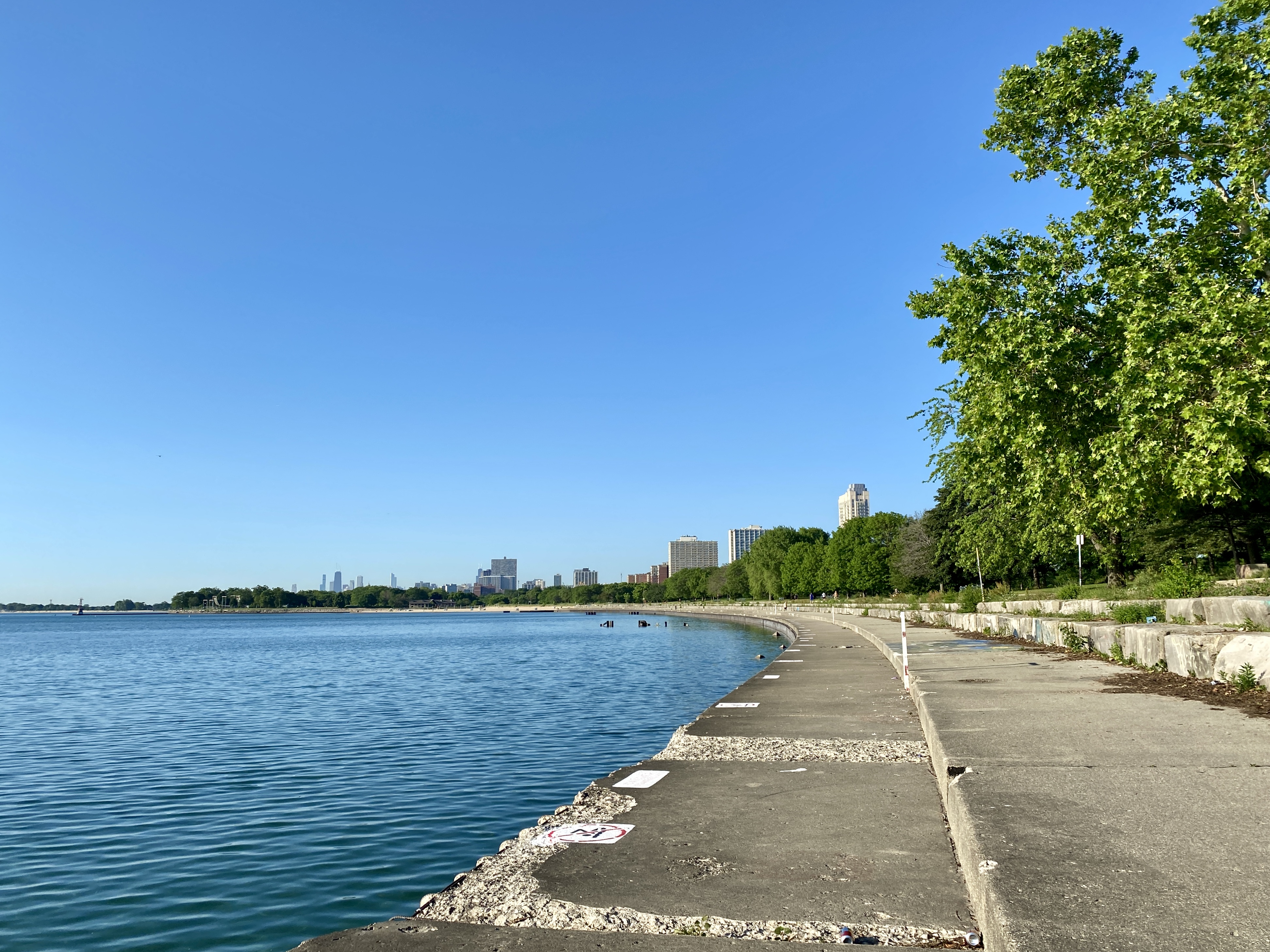 Bright blue sky over a concrete walkway curving around a bright blue lake, a large green tree to the right and in the left distance the Chicago skyline