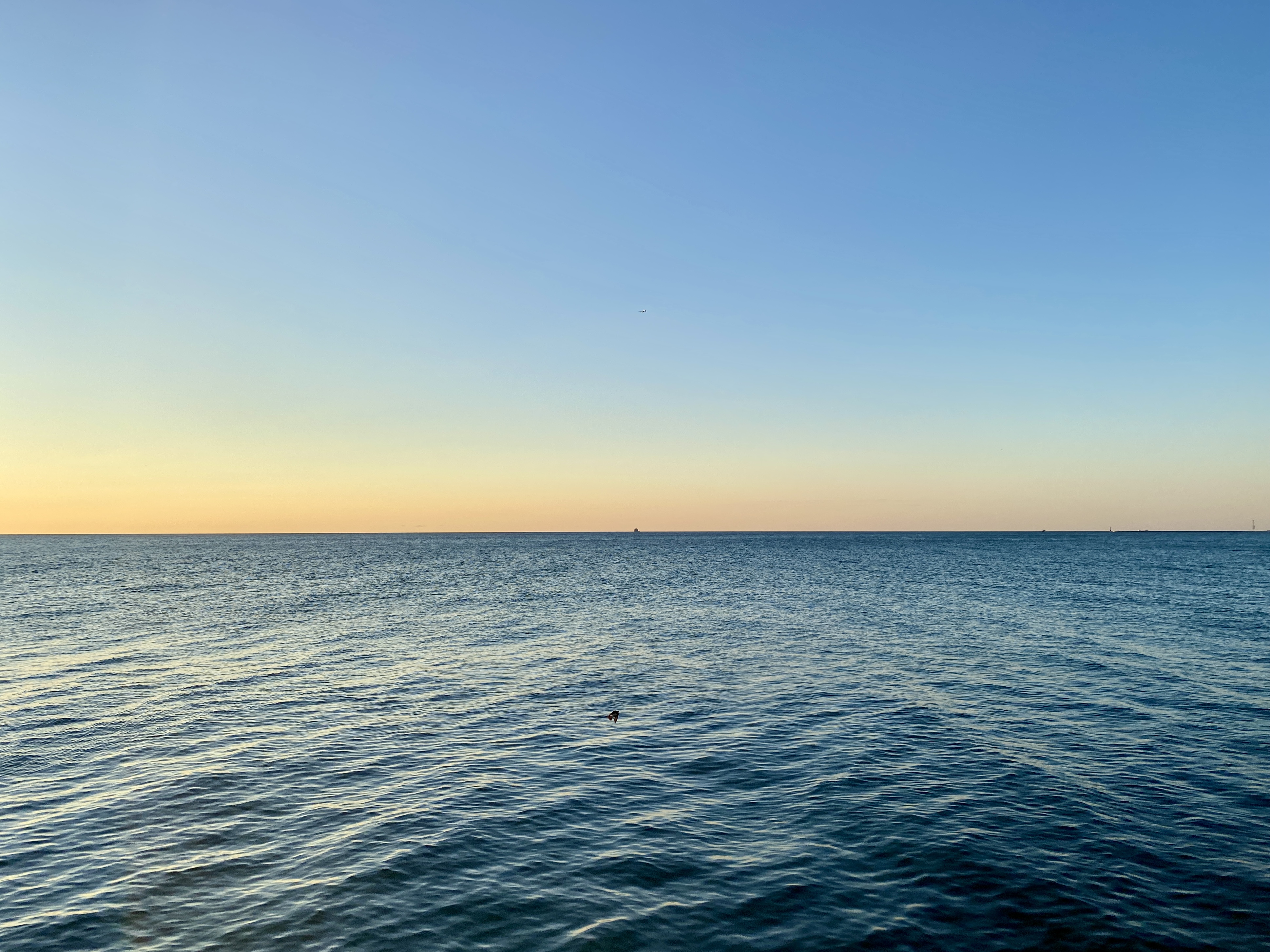 Horizon of large, calm lake with a clear sky above, yellow from the sunrise fading up in blue