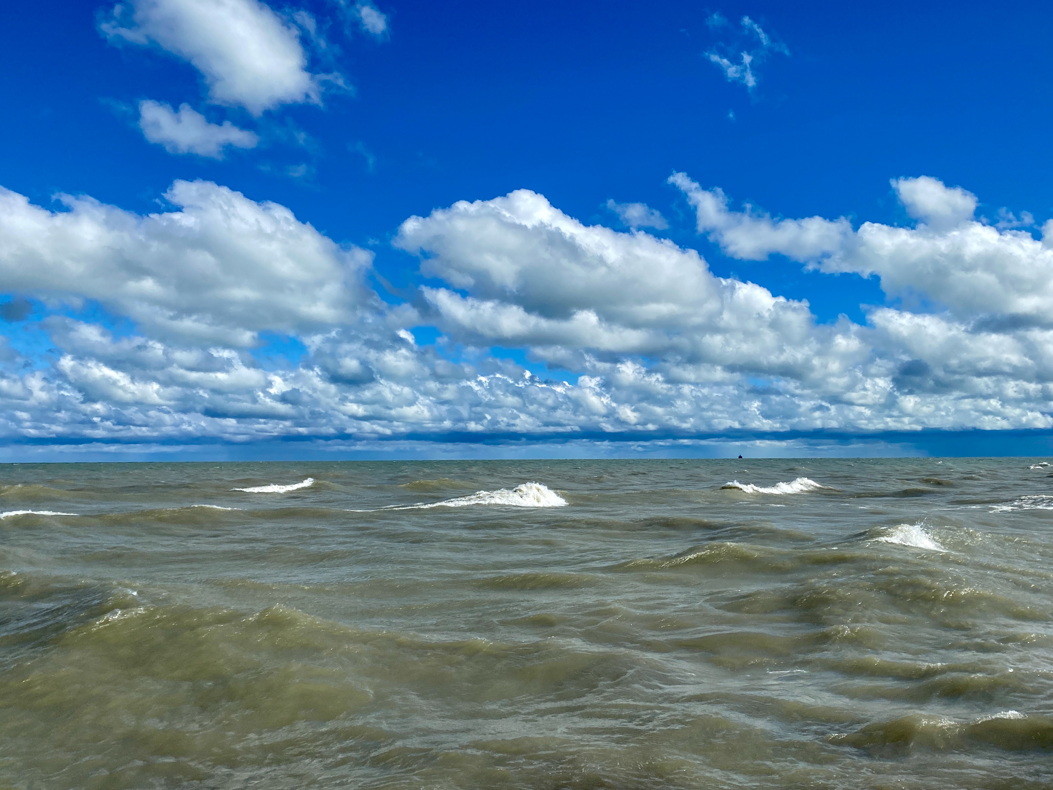 A wide lake horizon with a deep blue sky dotted with bright white clouds, the lake surface choppy and pale green