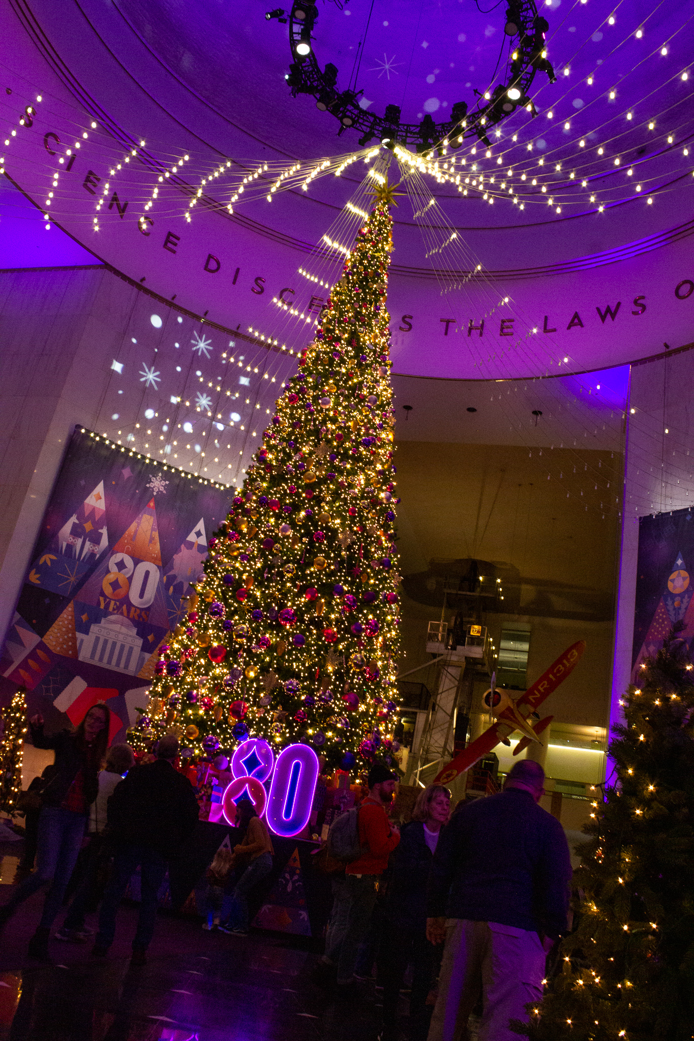 Angled vertical view of huge, tall, lighted Christmas tree in a large, round central room