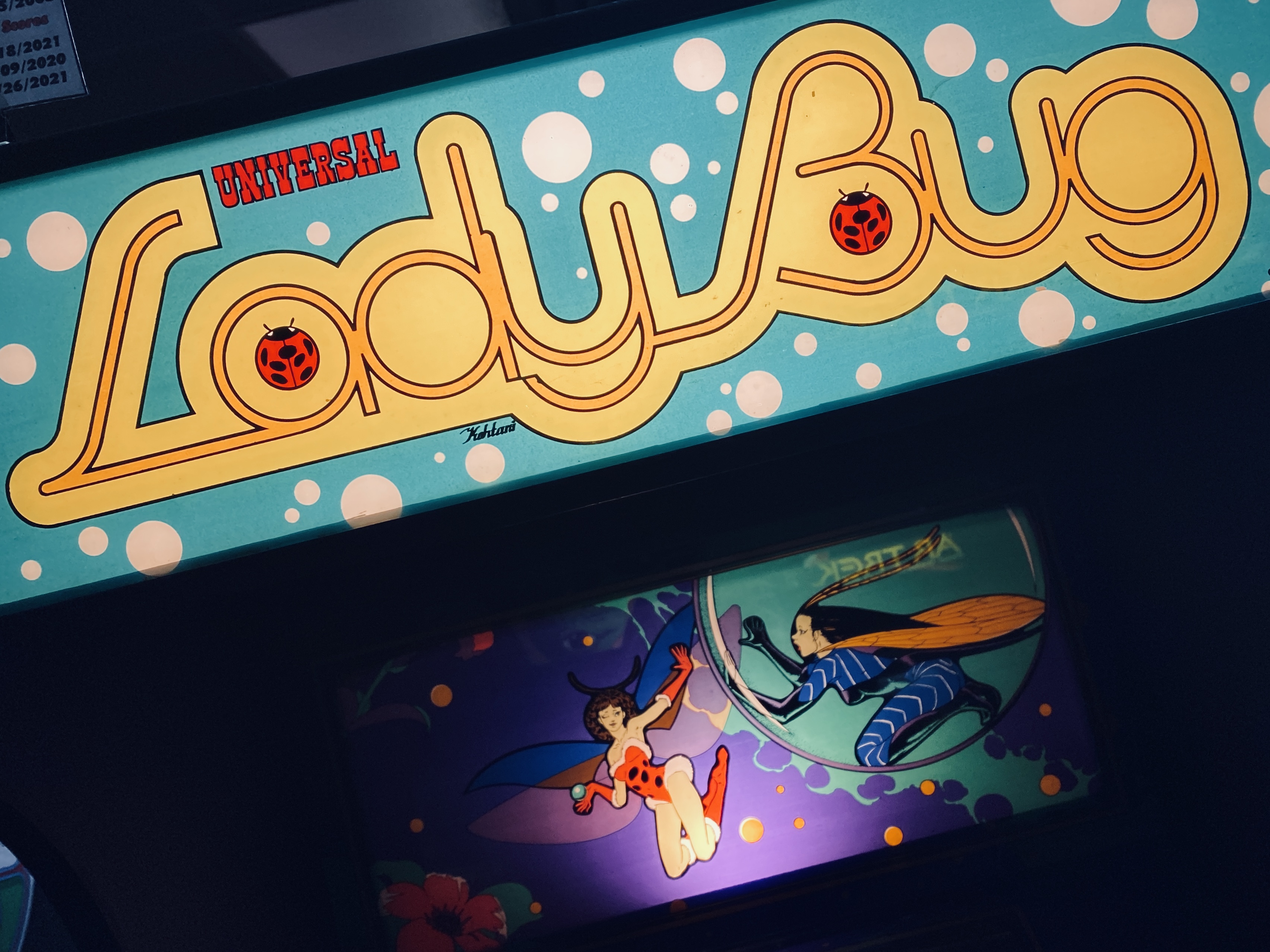 Detail on the title and main image from the video game Lady Bug featuring  two women wearing stylized insect-themed costumes