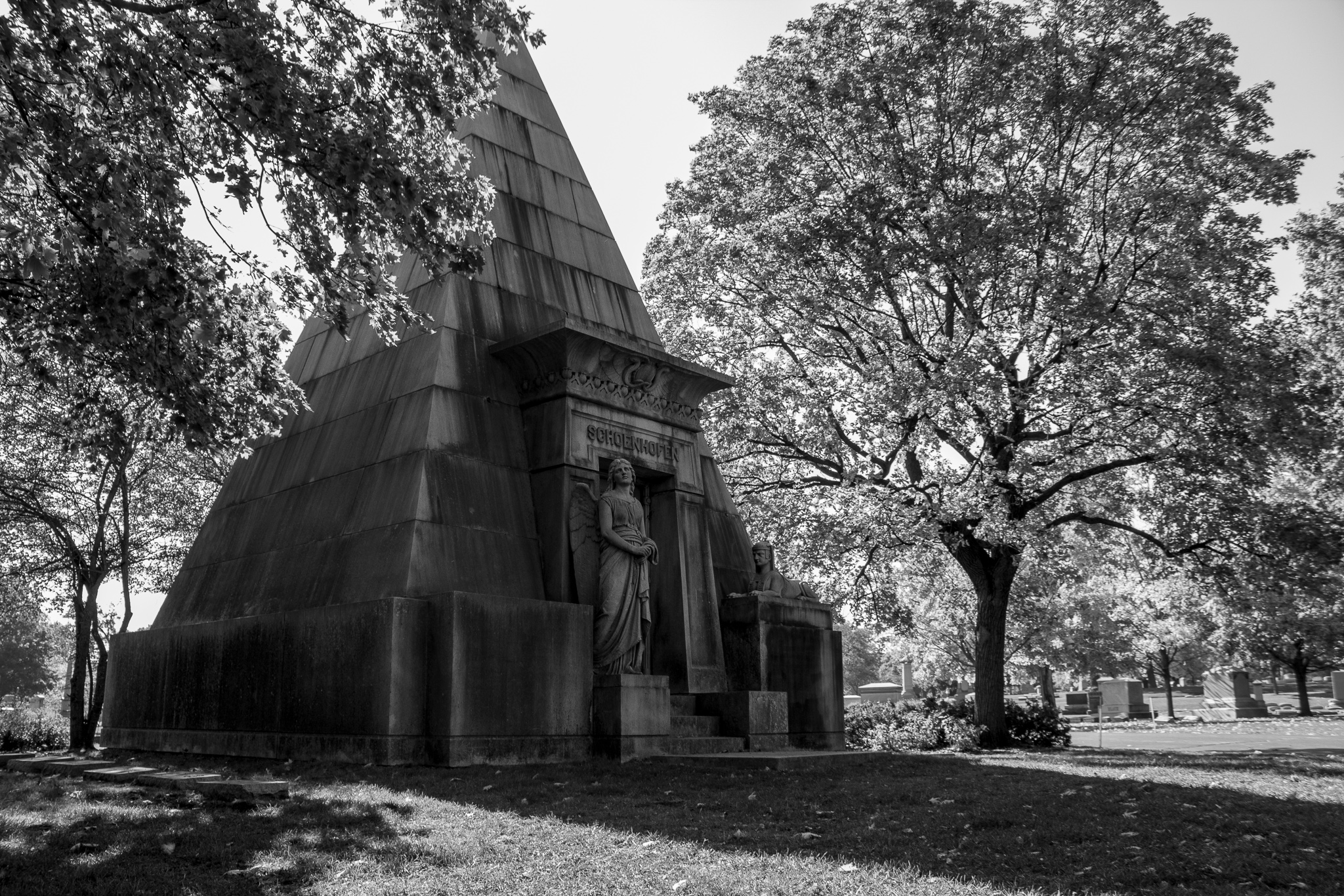 Black-and-white image of a pyramid tomb edged with large branching trees