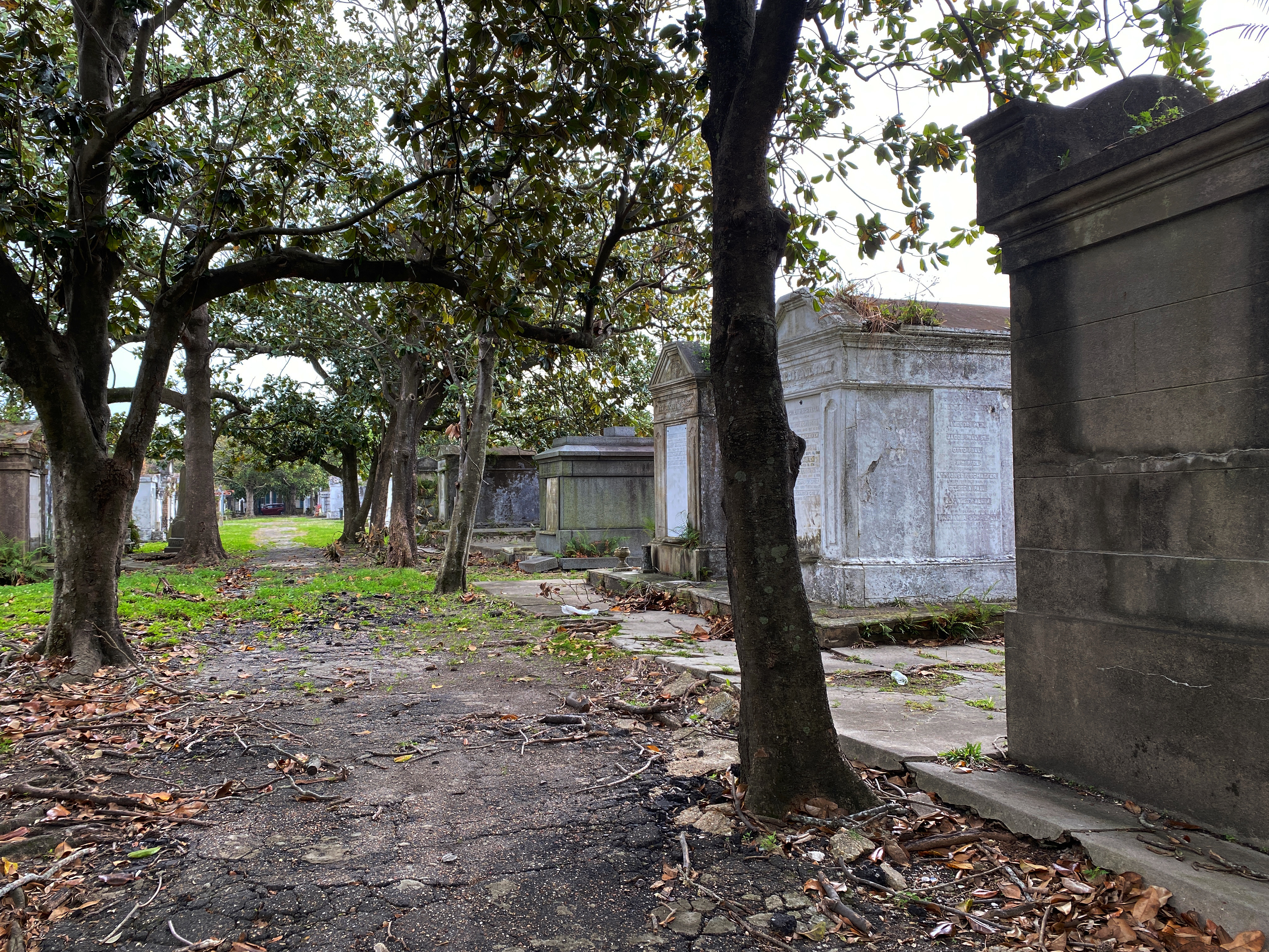 A path lined with trees through a cemetery full of weathered crypts