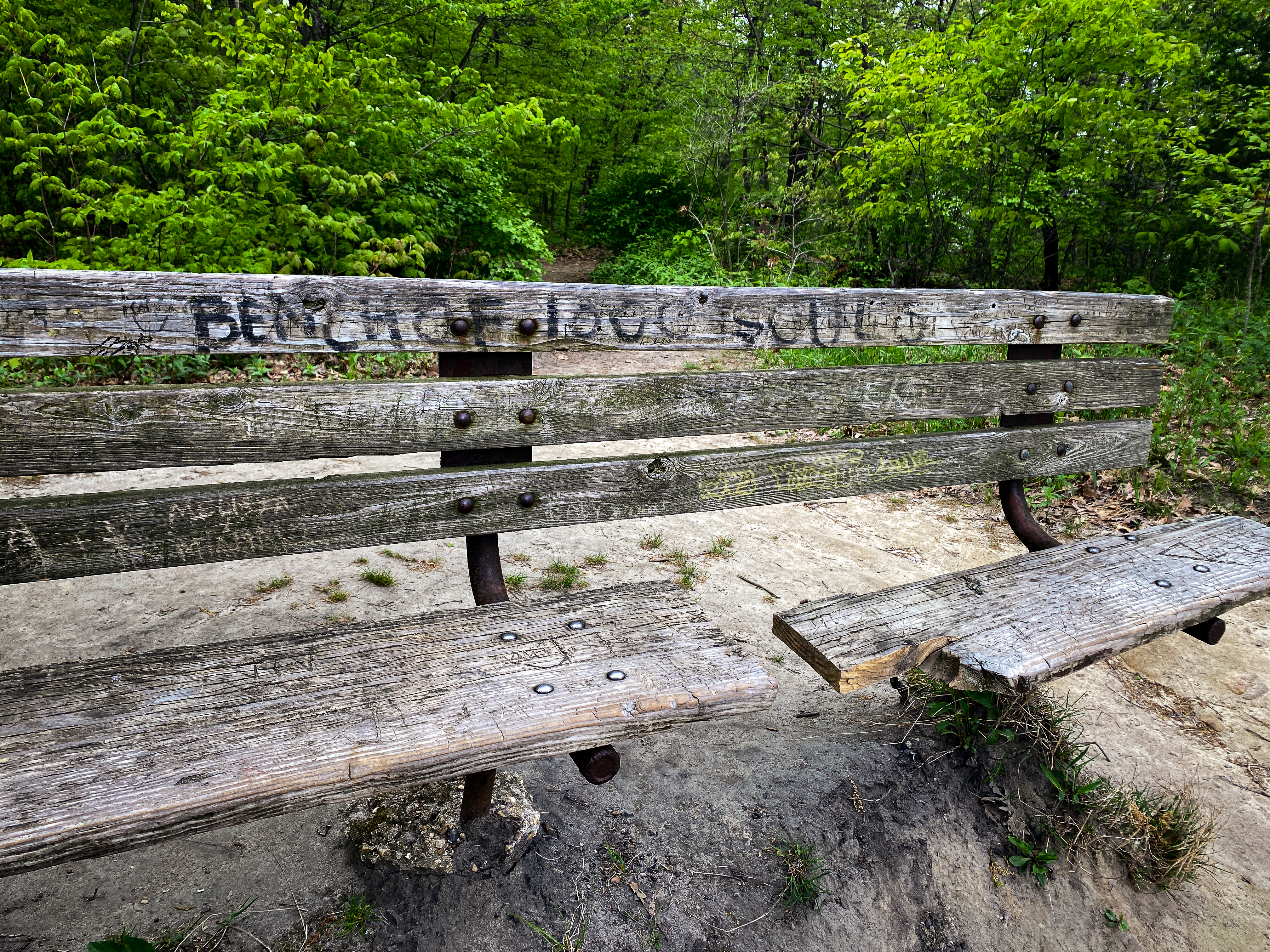 Broken wooden bench set in front of green woods with a handwritten label that reads Bench of 1000 Souls